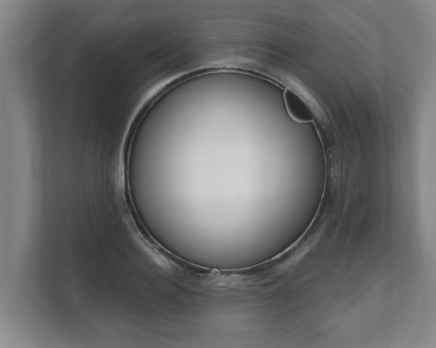 X0000111610940200907241007