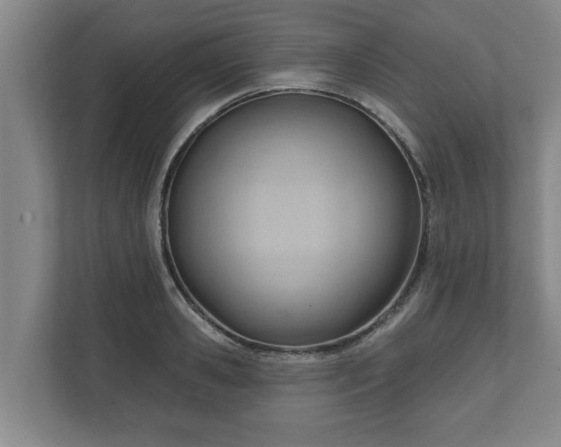 X0000111610941200907241007