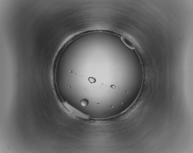 X0000111610942200907241007
