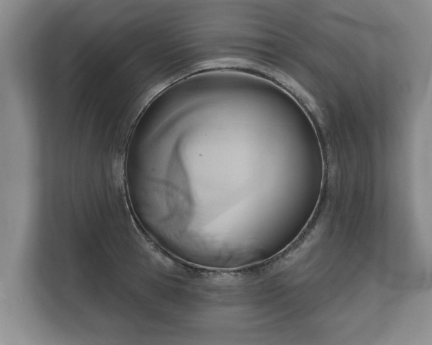 X0000111610945200907241007