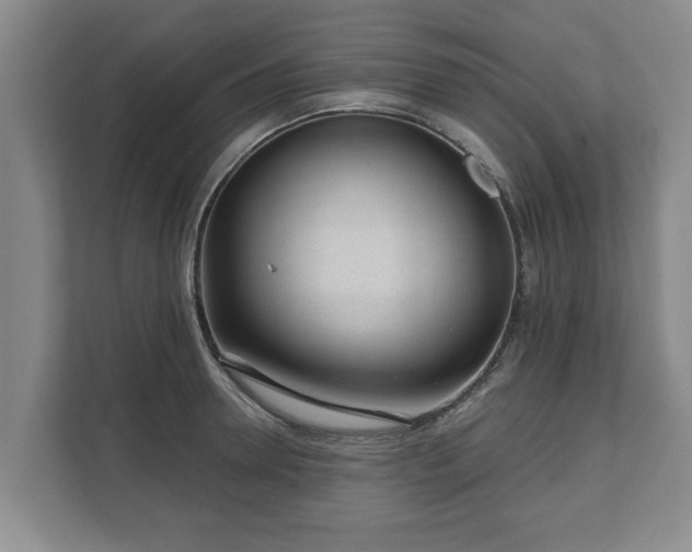 X0000111610946200907241007