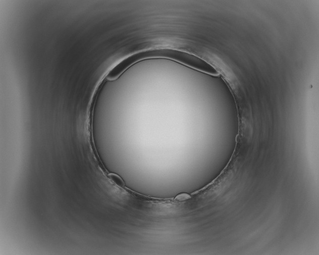 X0000111610948200907241007