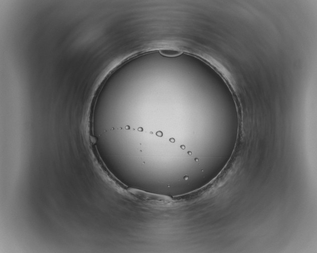 X0000111610949200907241007