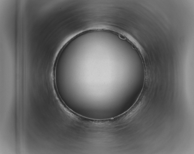 X0000111610951200907241007