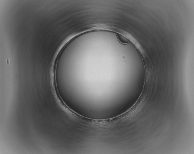 X0000111610955200907241007