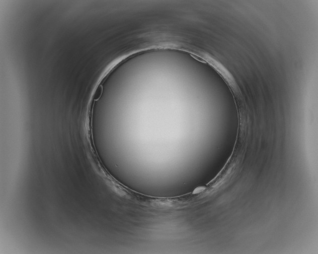 X0000111610956200907241007