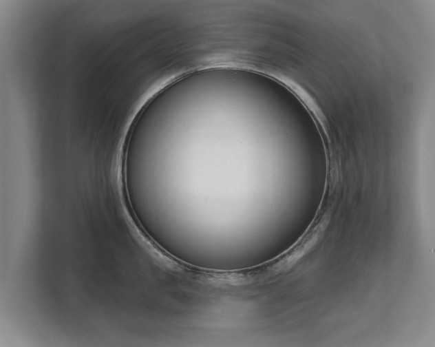 X0000111610957200907241007
