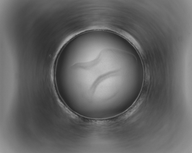 X0000111610958200907241007