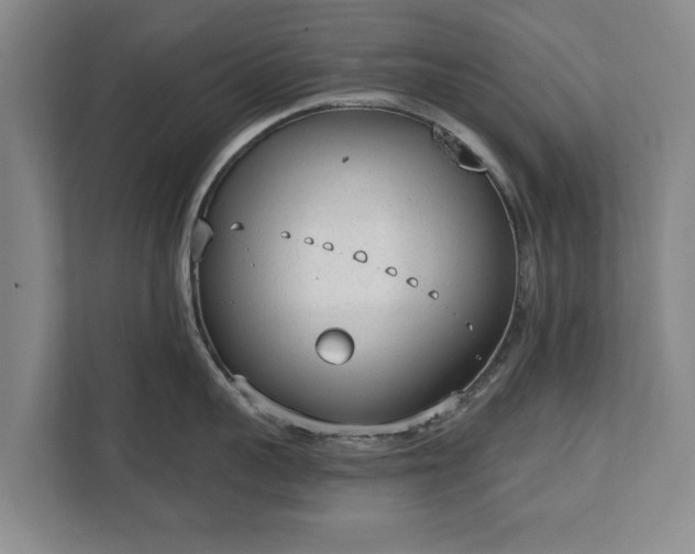 X0000111610959200907241007