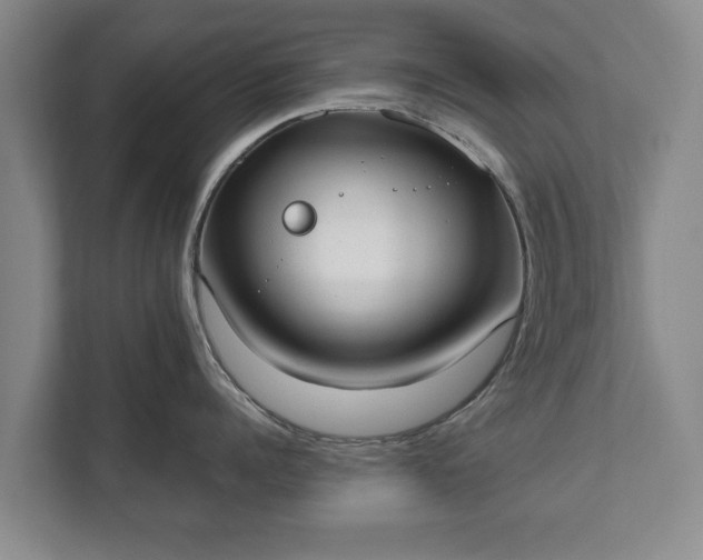 X0000111610960200907241007
