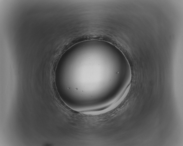 X0000111610961200907241006