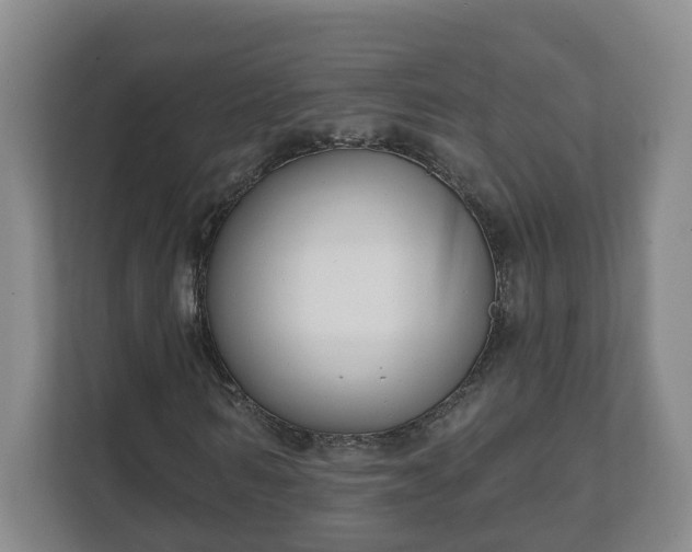 X0000111610962200907241006
