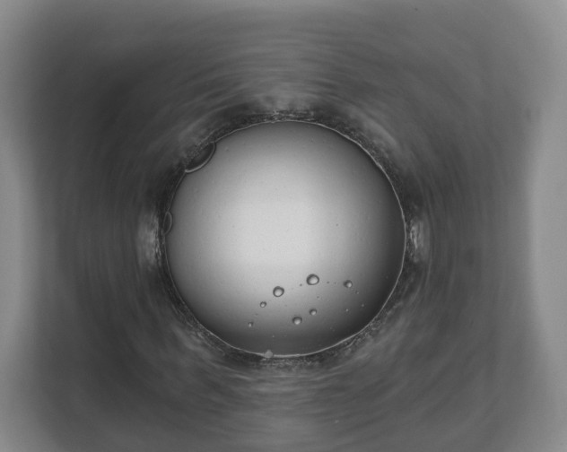 X0000111610963200907241006