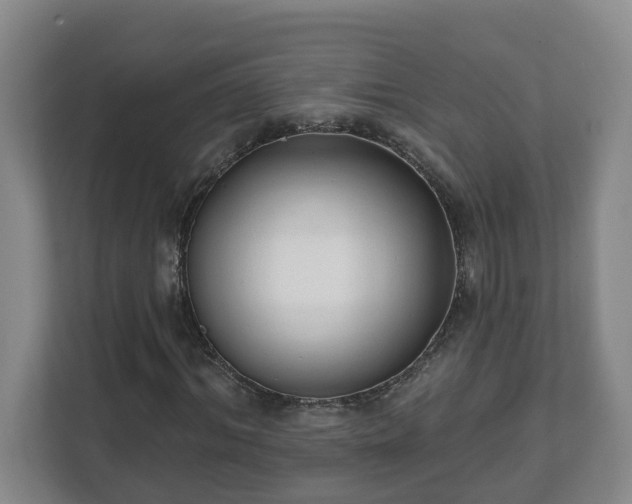 X0000111610964200907241006