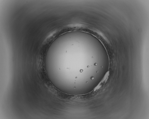 X0000111610967200907241006