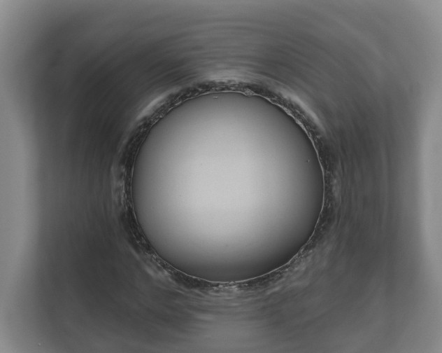 X0000111610968200907241006