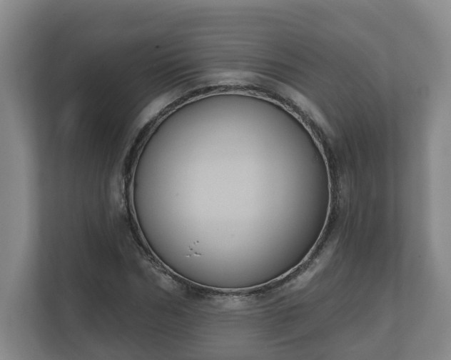 X0000111610970200907241006
