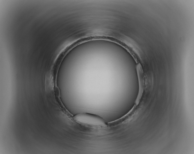 X0000111610973200907241006