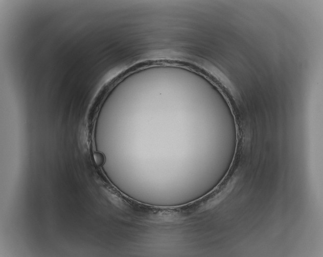 X0000111610974200907241006