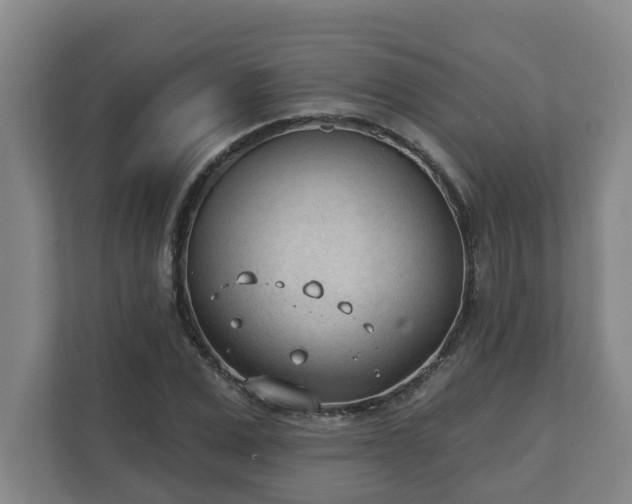 X0000111610975200907241006
