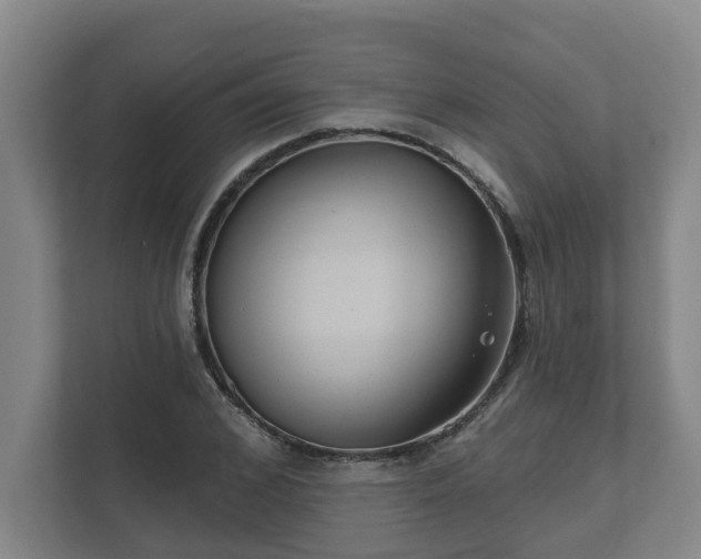 X0000111610976200907241006