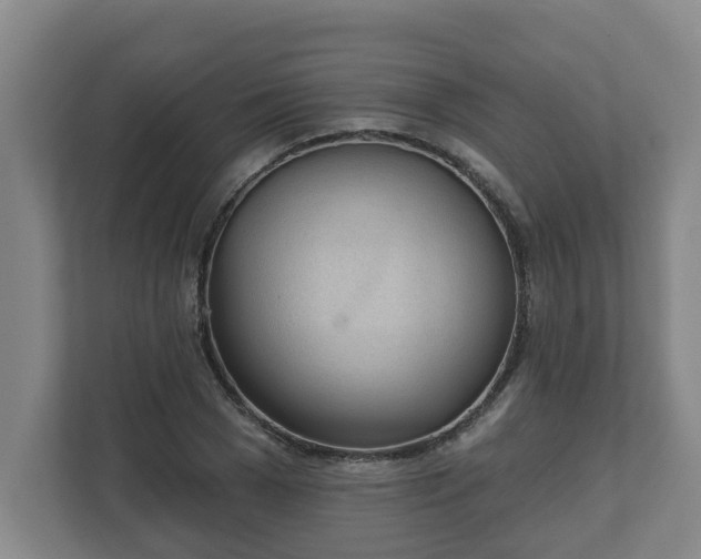 X0000111610977200907241006