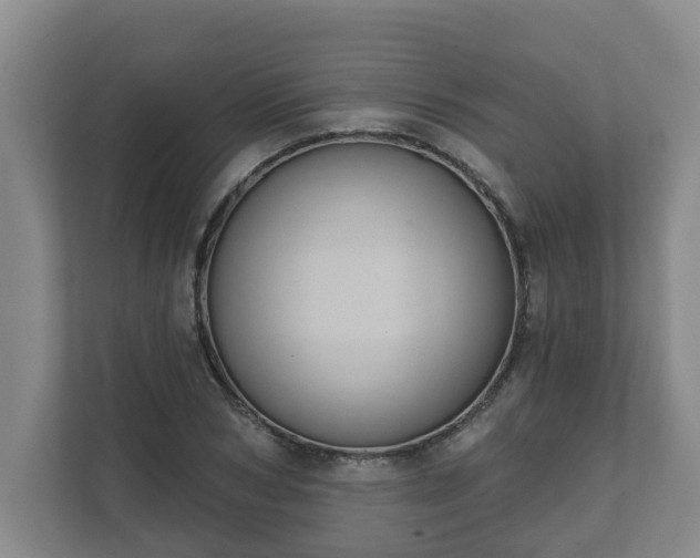 X0000111610978200907241006
