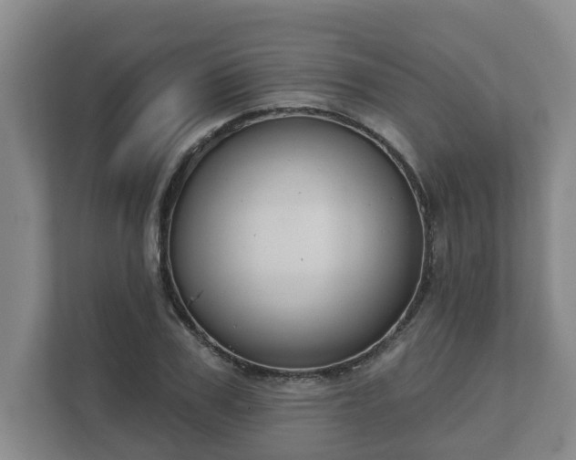 X0000111610979200907241006