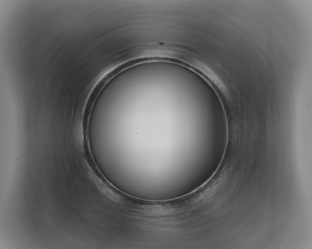 X0000111610980200907241006
