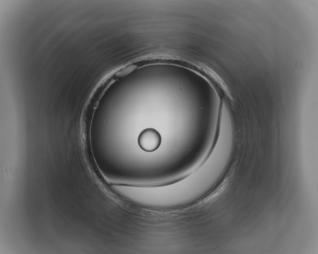X0000111610981200907241006