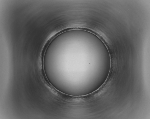 X0000111610982200907241006