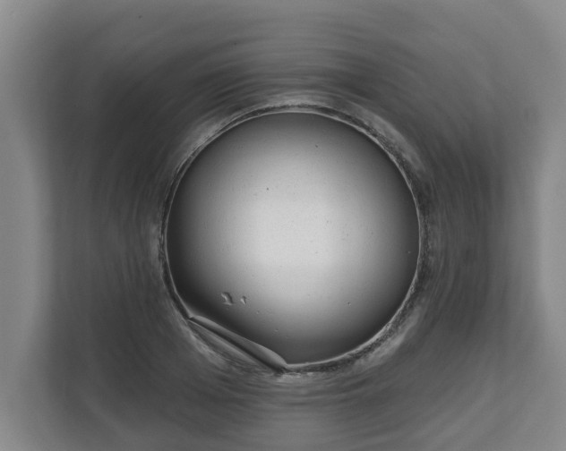 X0000111610985200907241006