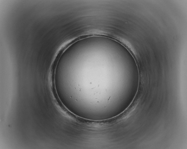 X0000111610987200907241006