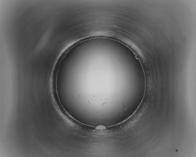 X0000111610991200907241006