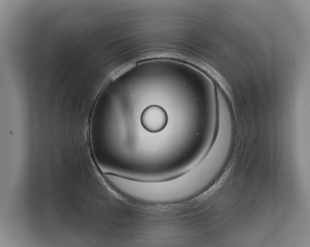 X0000111610993200907241006