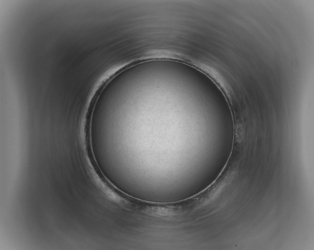 X0000111610995200907241006