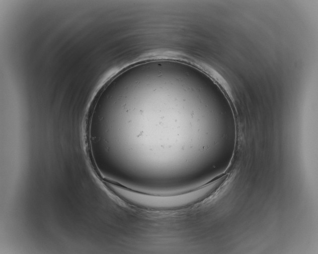 X0000111610997200907241006