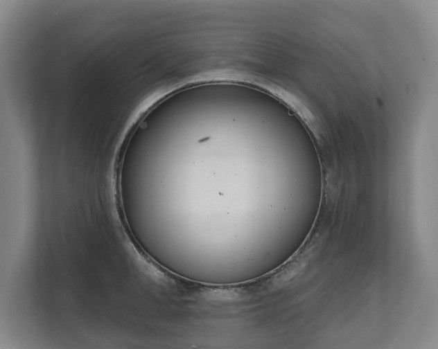 X0000111610998200907241006
