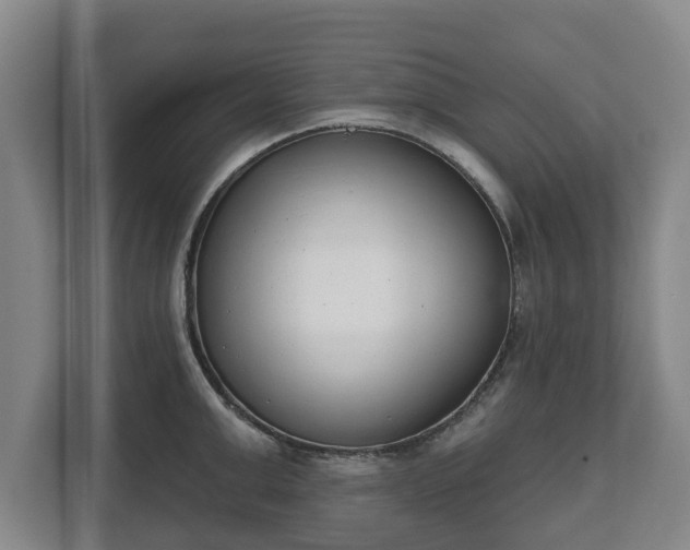 X0000111610999200907241006