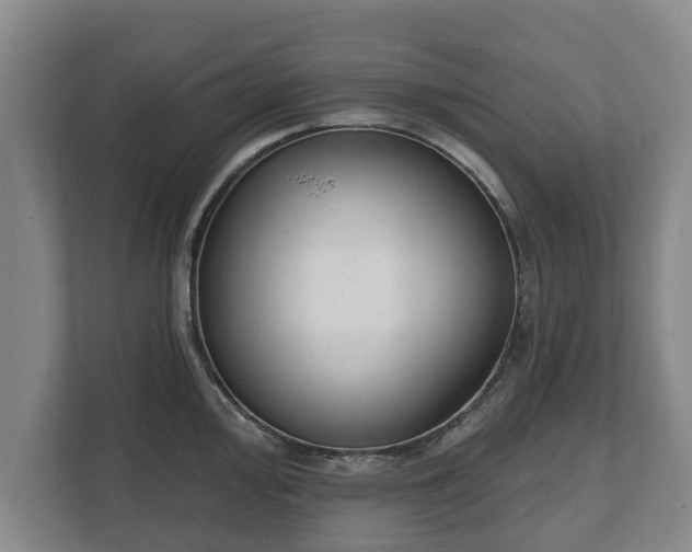 X0000111611000200907241006