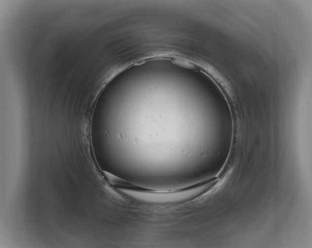 X0000111611001200907241006
