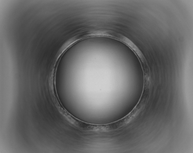 X0000111611002200907241006