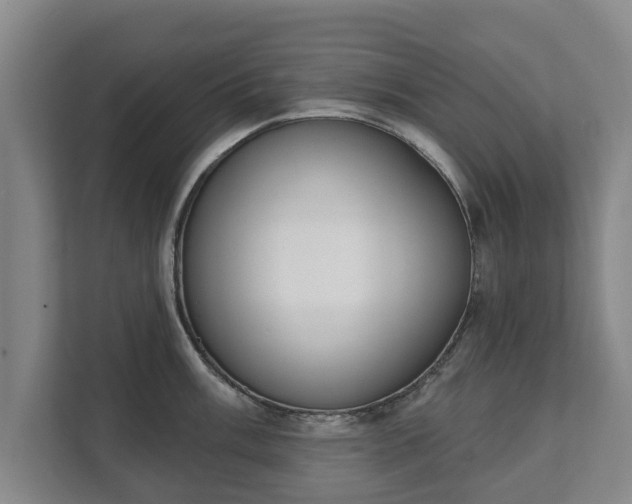 X0000111611003200907241006
