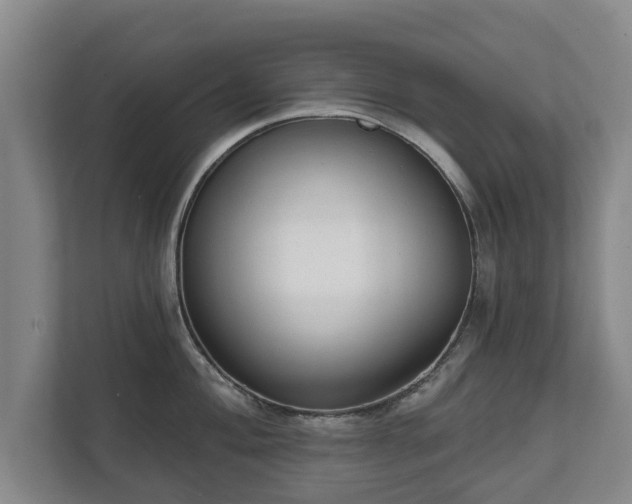 X0000111611004200907241006