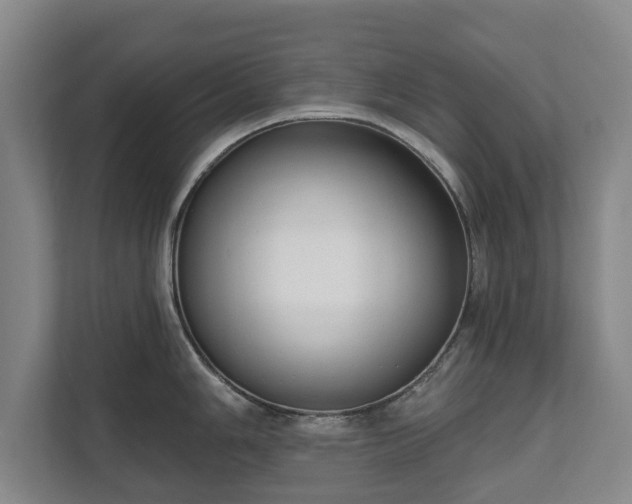 X0000111611006200907241006