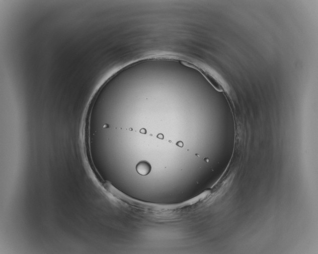 X0000111611007200907241006