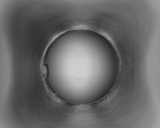 X0000111611008200907241006