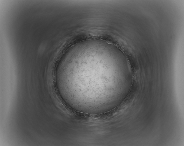 X0000111611009200907241005