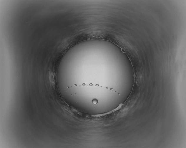 X0000111611010200907241005