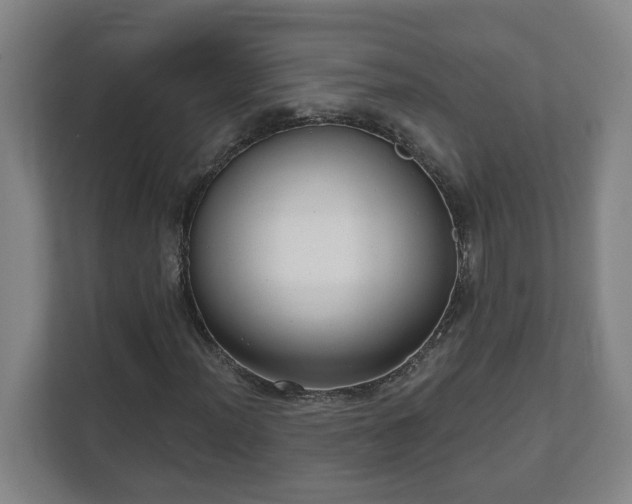 X0000111611012200907241005